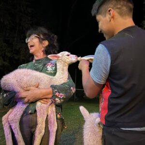 Alpaca Experience